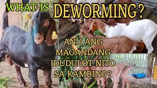 WHAT IS DEWORMING [upl. by Bobine74]