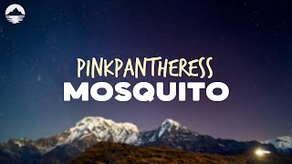 PinkPantheress  Mosquito  Lyrics [upl. by Dionis]