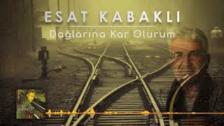 Nazım Hikmet  Seni Düşünmek [upl. by Nodnerb]