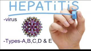 hepatitis b treatment in hindi hepatitis b ka upay in hindi [upl. by Aztirak]