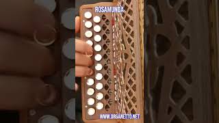 Shorts  8 Bassi  ROSAMUNDA  Accordion diatonic organetto [upl. by Cresida635]