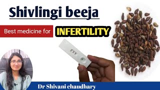 शिवलिंगी बीज  वंध्यत्व के लिए उपयोगी दवा ayurveda infertility [upl. by Sirenay]