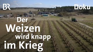 Ackern gegen Putin Landwirtschaft in Kriegszeiten  Bauern  Doku  DokThema  BR [upl. by Ailaroc]