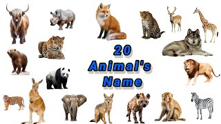 Animals Names  Animals Name in English  Names of Animals  animals vocabulary  animals [upl. by Annette]