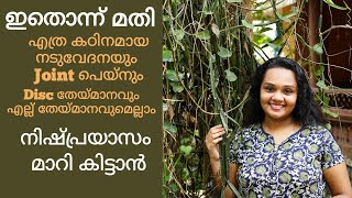 എത്ര പഴകിയ വേദനയോടും GoodBye പറയാംചങ്ങലംപരണ്ടChangalamparanda in MalayalamChangalamparanda Oil [upl. by Welles167]