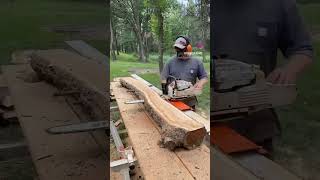 Stihl MS 661 and Logosol F2 Compilation stihl logosol chainsawmill [upl. by Laniger]