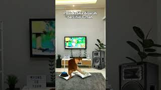 PovKetika lu disuruh bersihkan rumah meme memekucing kucing mems fypシ゚viral pov [upl. by Haggar922]