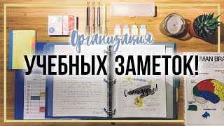 КАК Я ВЕДУ КОНСПЕКТЫ В УНИВЕРСИТЕТЕ [upl. by Ariamat]