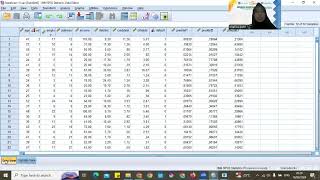 Penggunaan SPSS Input exel di SPSSCase summary SPSS amp STATISTIK DESKRIPTIF SPSS [upl. by Dlabihcra798]