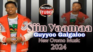 Guyo Galgalo quotSiin Yaamaaquot New Oromo Music 2024 [upl. by Prince]