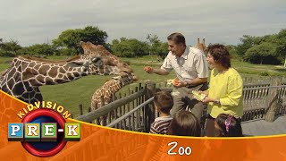 Zoo  Virtual Field Trip  KidVision PreK [upl. by Ayela]