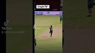 Eagle 🦅Shaheen Afrdi shaheenafridi cricket pakistan india worldcup t20worldcup babarazam [upl. by Guttery]