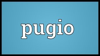 Pugio Meaning [upl. by Smitt]