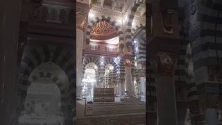 Wo Tanha Kon Hy masjidnabawi allahhoallah riyazuljannah viralshort naat madina wotanhakonhai [upl. by Hentrich]