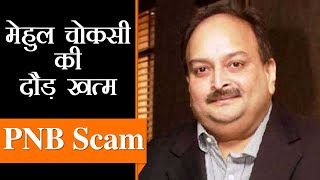 भगोड़ा Mehul Choksi Dominica में पकड़ा गया भारत को जल्द सौंपे जाने की तैयारी  Extradition to India [upl. by Kravits]