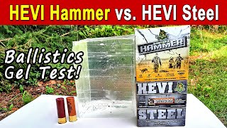 HEVI Hammer vs HEVI Steel  Ballistics Gel amp Pattern Test [upl. by Rozek]