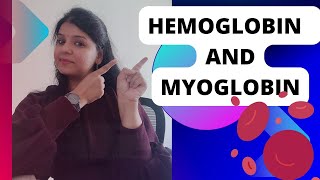 Hemoglobin and Myoglobin protein functioning neet csirnet bsc hemoglobin myoglobin [upl. by Ravo337]