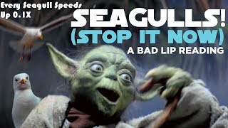 quotSEAGULLS Stop It Nowquot Every Seagull Speed Up 01X [upl. by Eltotsira]