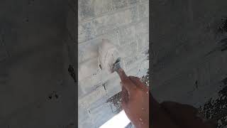 Limewashing a brick home limewash charlestonsc home exteriorpainting diy homepainting [upl. by Nylrebma223]