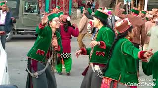 Beautiful Kinnauri Dance  Marriage ceremony  Buppi Wangpa  2017 [upl. by Nareik]