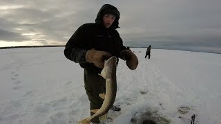 Northern MI TipUp Ice fishing Walleye Perch amp Pike [upl. by Enomsed]