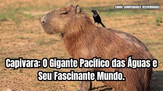 Capivara O Gigante Pacífico das Águas e Seu Fascinante Mundo [upl. by Clere]