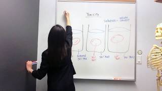 Tonicity Hypertonic Hypotonic and Isotonic Solutions [upl. by Rahm]