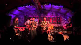 REPTILIAN MAMBO 4  Live at Jamboree Barcelona [upl. by Krasnoff]