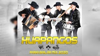 Los Elegantes de Jerez Mix 2020 Huapangos Para Bailar Dj Alfonzin [upl. by Lamiv]