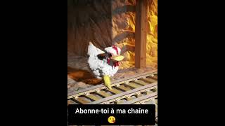 Pauvre poulette poulet poules chicken [upl. by Dearborn849]