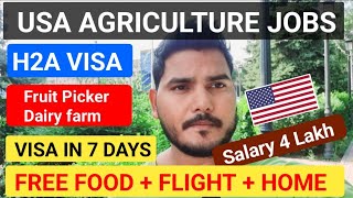 Farm Jobs USA 🇺🇸  Agricultur work visa H2A  visa in 7 days  No Age Limit [upl. by Sang]