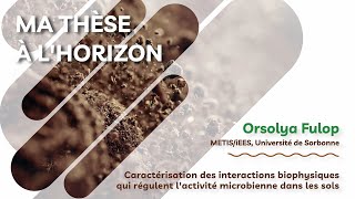 Ma thèse à lhorizon  Orsolya Fulop  30112023 [upl. by Dasteel374]