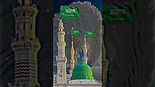 Naat Allah Ho Allah Ho Beautiful Amazing Farhan Ali Qadri Ki Awaaz Main Youtube Short Video [upl. by Royo982]