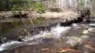 Quantico Cascades Trail Waterfall [upl. by Oilicec]