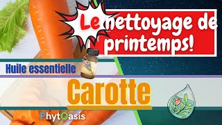 Connaissez vous lHuile Essentielle de Carotte Une Détox ça vous tente [upl. by Terrag747]