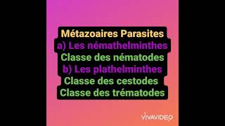 Résumé du métazoaires parasites Nématodes Cestodes et les trématodes [upl. by Lenod361]