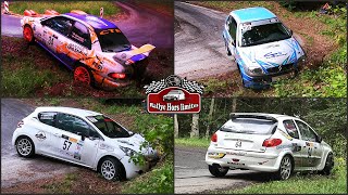 Rallye des Bornes 2024 MISTAKES [upl. by Jorey90]