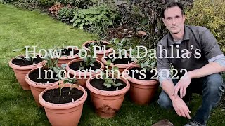 How To Plant Dahlias In Containers 2022 Growing Dahlias in Pots Get Gardening [upl. by Landon]