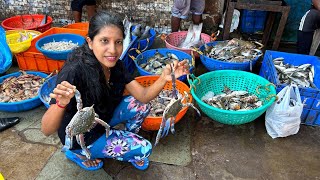 Wholesale Fish Market in Goa  Betim Fish Market in Goa  Sea Food Vlog [upl. by Hazelton]