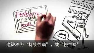 Understanding Pain in less than five minutes Chinese subtitle [upl. by Gwynne]