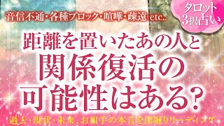 🔮恋愛タロット🌈音信不通・ブロック・既読スルー未読スルー・喧嘩・すれ違い・疎遠etc距離を置いたあの人と関係復活の可能性はある？🌈2人の関係・2人の未来💗復縁リーディング💗 [upl. by Otrepur]