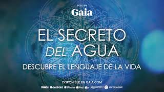 El Secreto del Agua [upl. by Ydal]