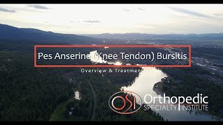 Pes Anserine Knee Tendon Bursitis [upl. by Spada86]