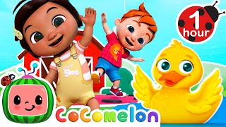 Silly Animal Dance  Hop Little Bunnies and More CoComelon Nursery Rhymes amp Kids Songs [upl. by Artnoed]