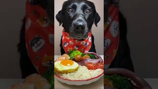 quotLabradors First Fine Dining Experience – Hilarious Reaction 🐶🍴quot [upl. by Winifred772]