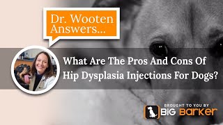 What Are The Pros And Cons Of Hip Dysplasia Injections For Dogs  Dr Wooten Answers [upl. by Isayg]