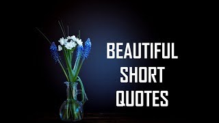 Beautiful Short Quotes  Life Lessons [upl. by Anovahs]