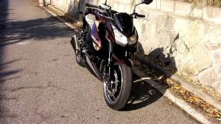 Kawasaki Z1000 2010年式 ﾁｪｽﾅｯﾄﾌﾞﾗｳﾝ [upl. by Victory]