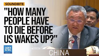 quotHow Many More People Have to Die Before the US Wakes Upquot — Chinese Envoy  Dawn News English [upl. by Elvie]