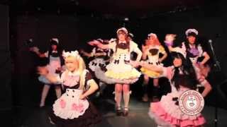 【Maids of England】【LIVE】Hapi Hapi Morning 【Spring Concert】 [upl. by Booze]